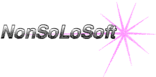NonSoLoSoft logo